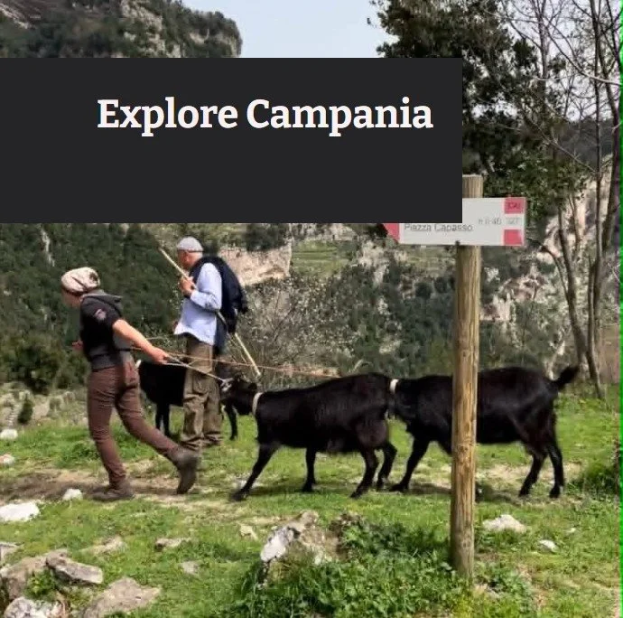 Explore the vibrancy of Campania's food, wine, history between mountains and sea