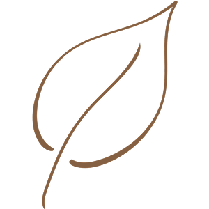 Simple line drawing of a leaf with a curved stem against a black background.