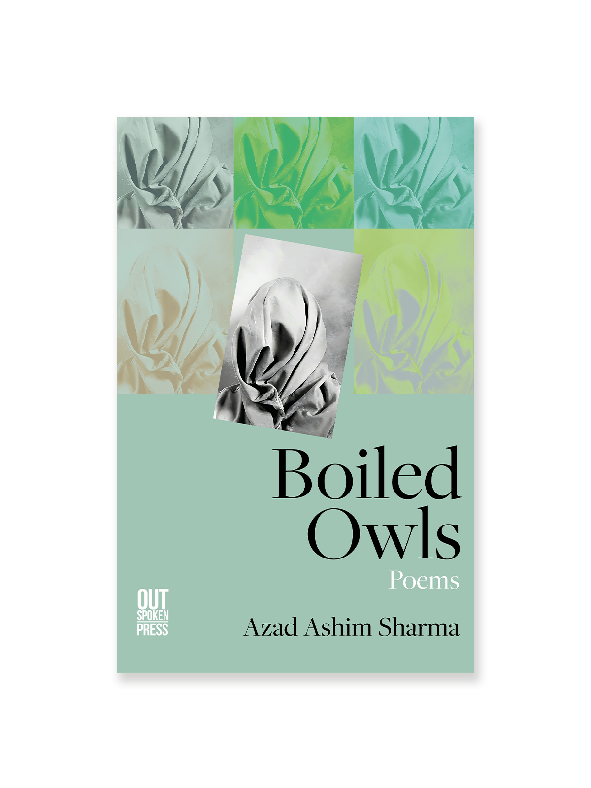 Boiled Owls by Azad Ashim Sharma