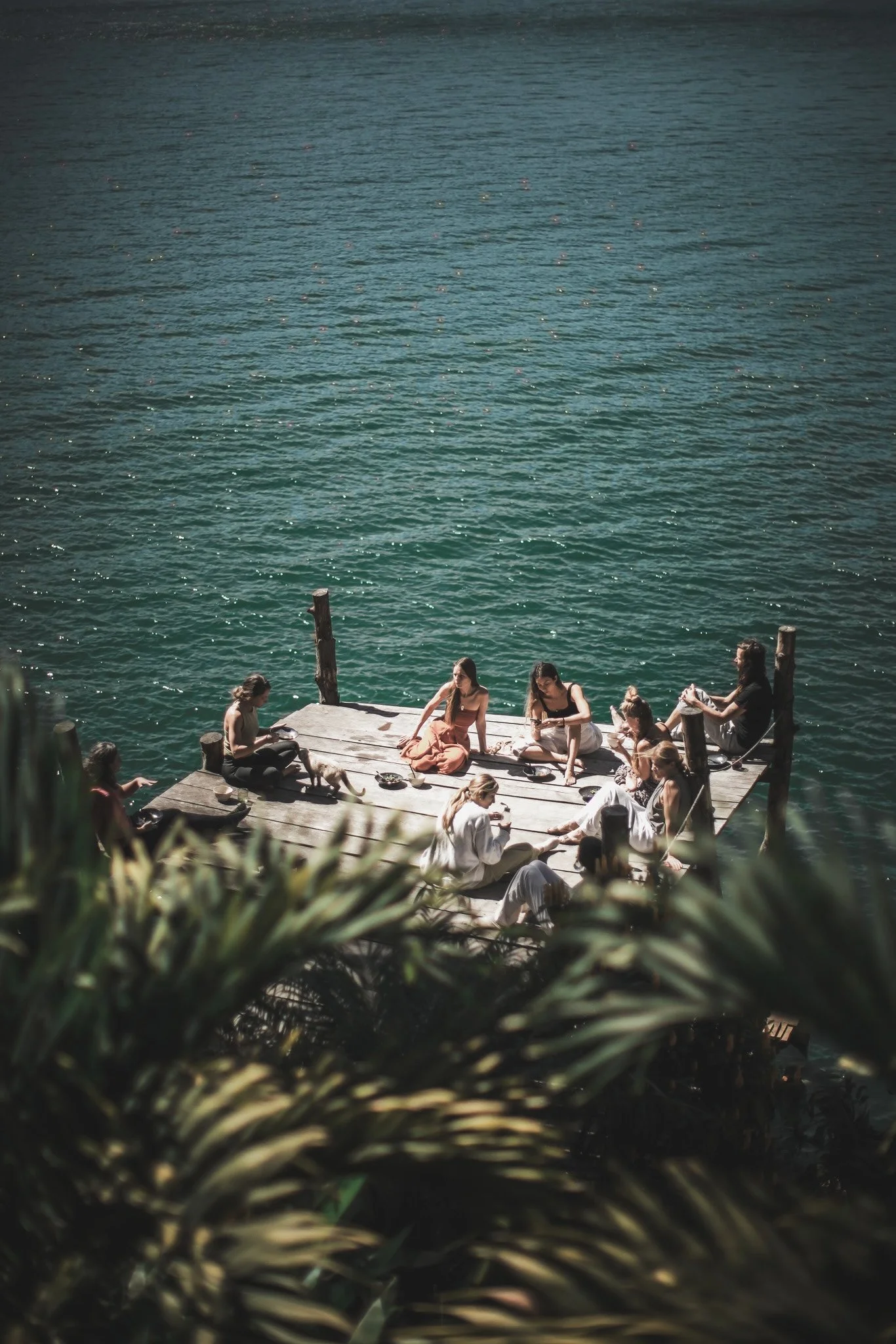 People sitting on a wooden dock by a large body of water, with some standing and some sitting, and a dog among them, surrounded by greenery.
