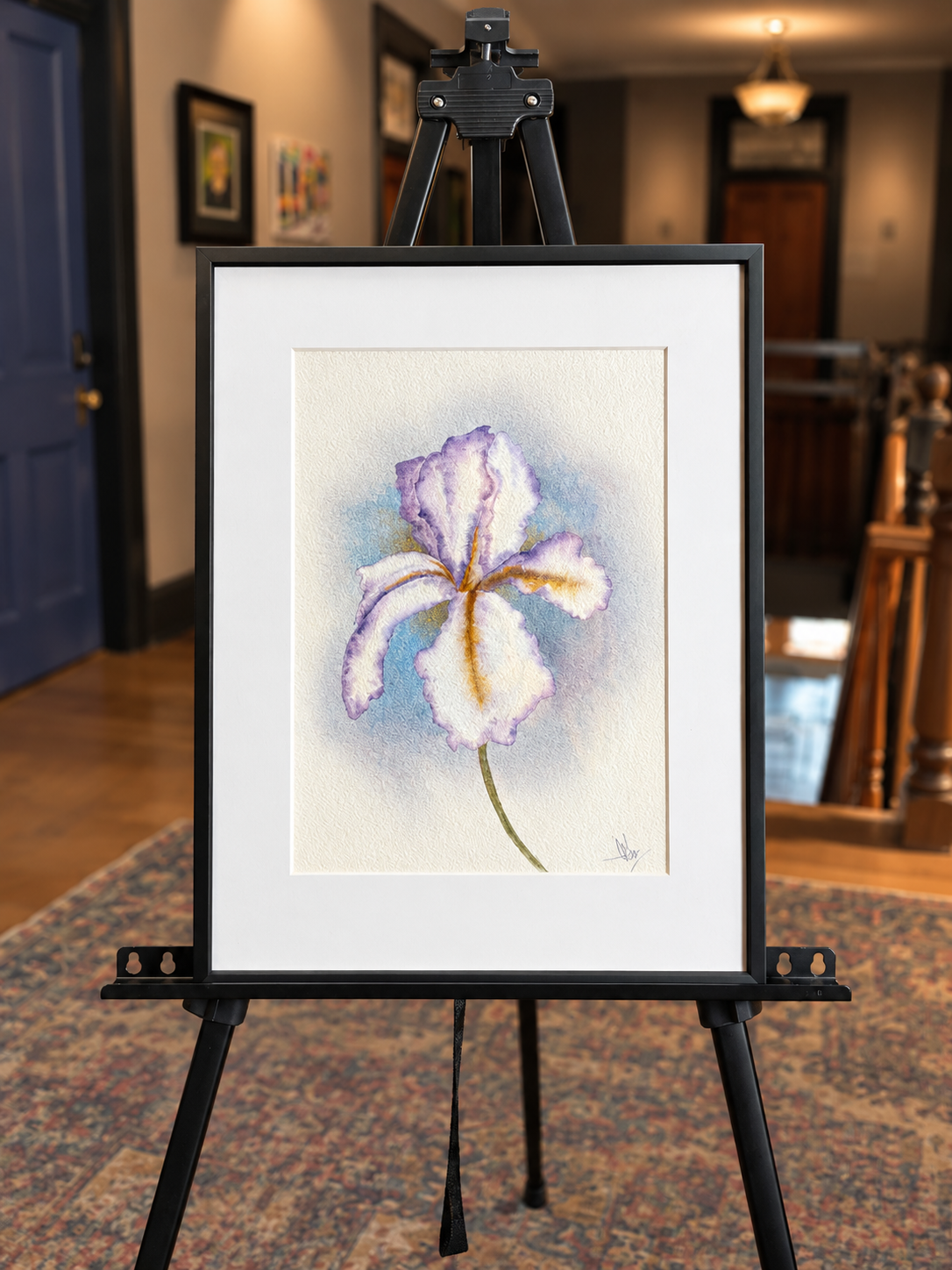 The Velvet Iris