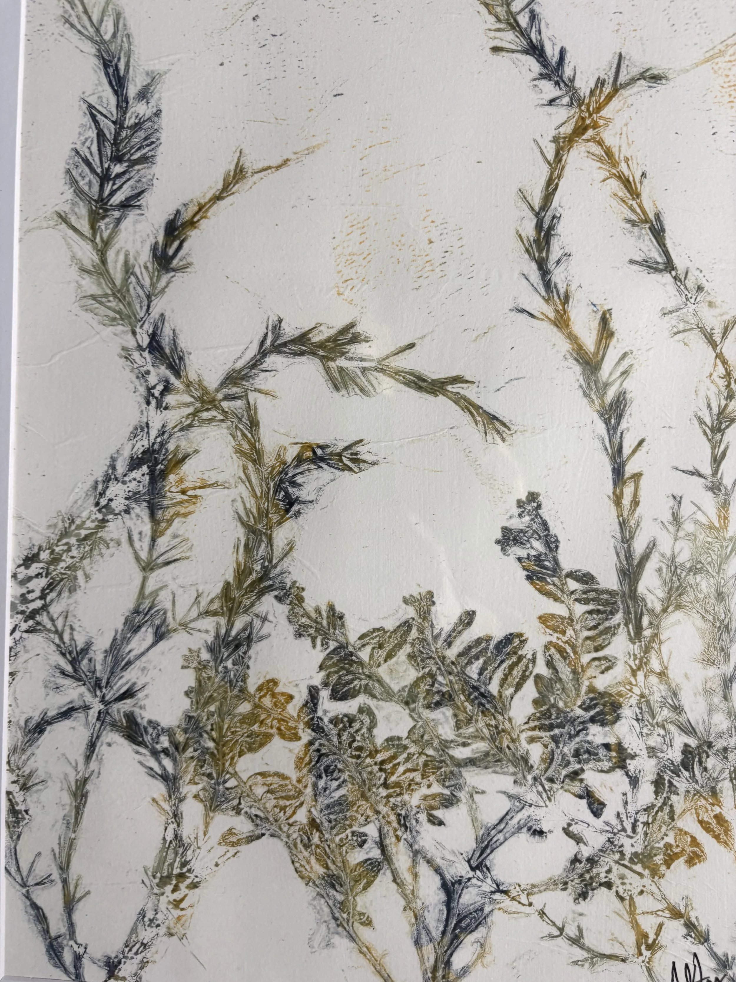 A botanical illustration of fern-like plants in black and gold ink on a textured white background.