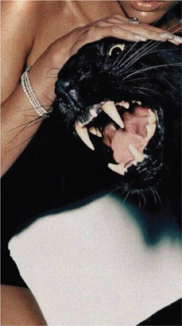 PICS-90.png