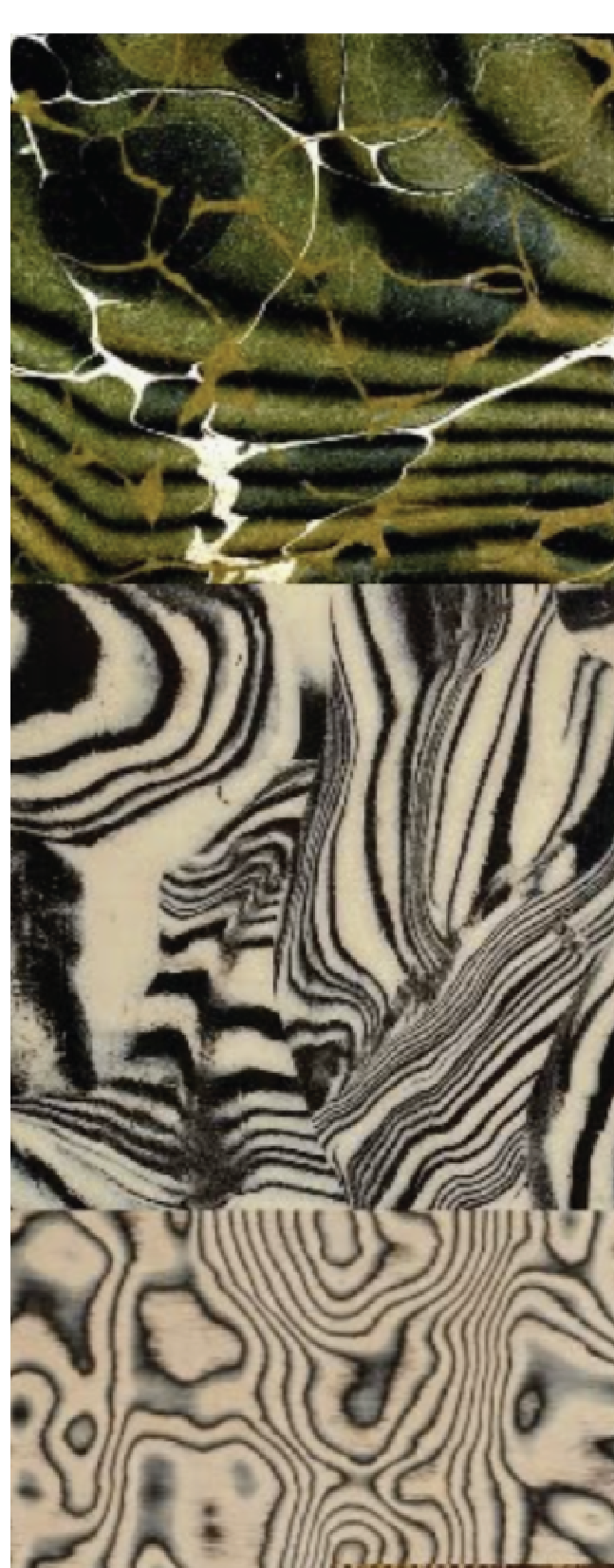 PICS-47.png
