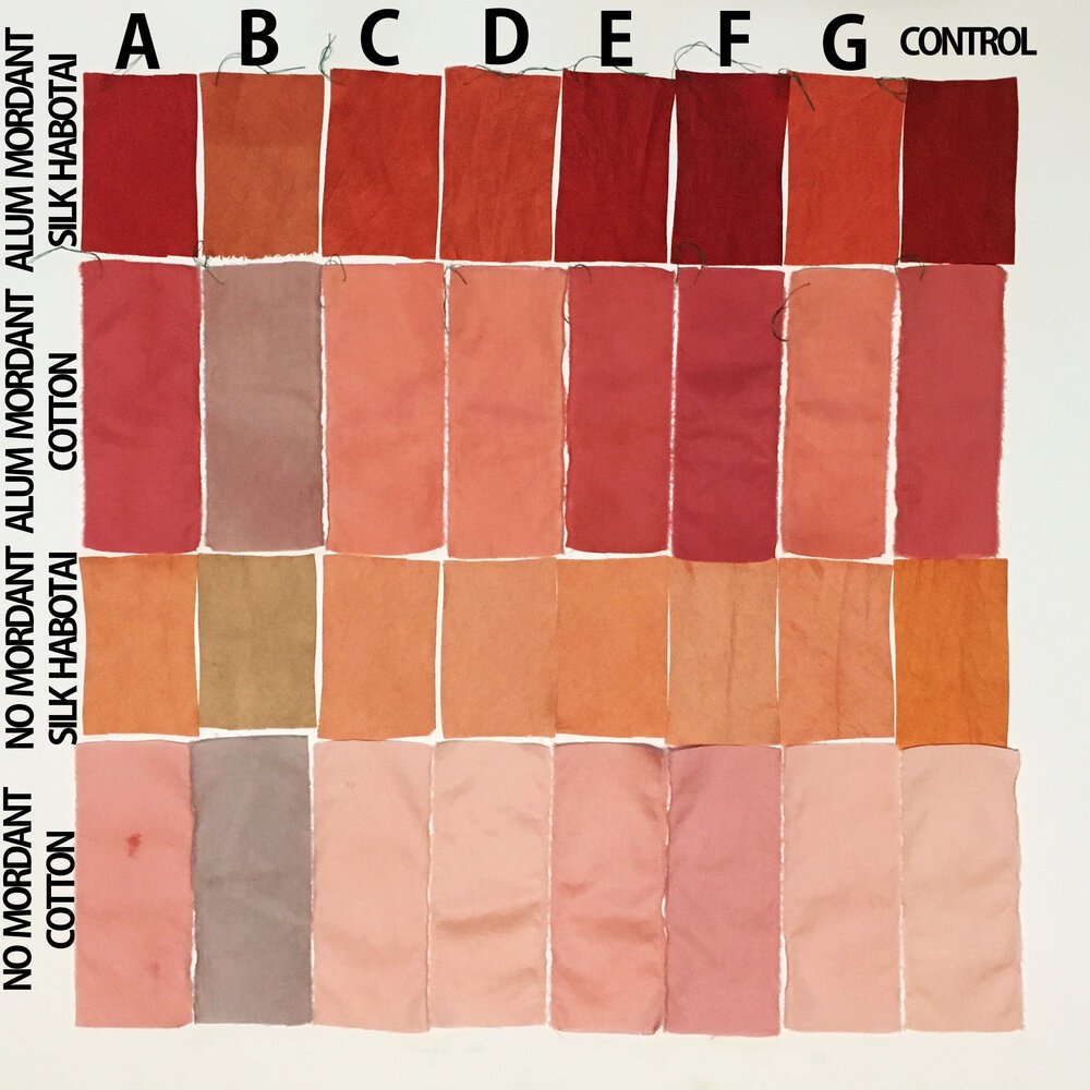 sample+swatches+labeled.jpeg