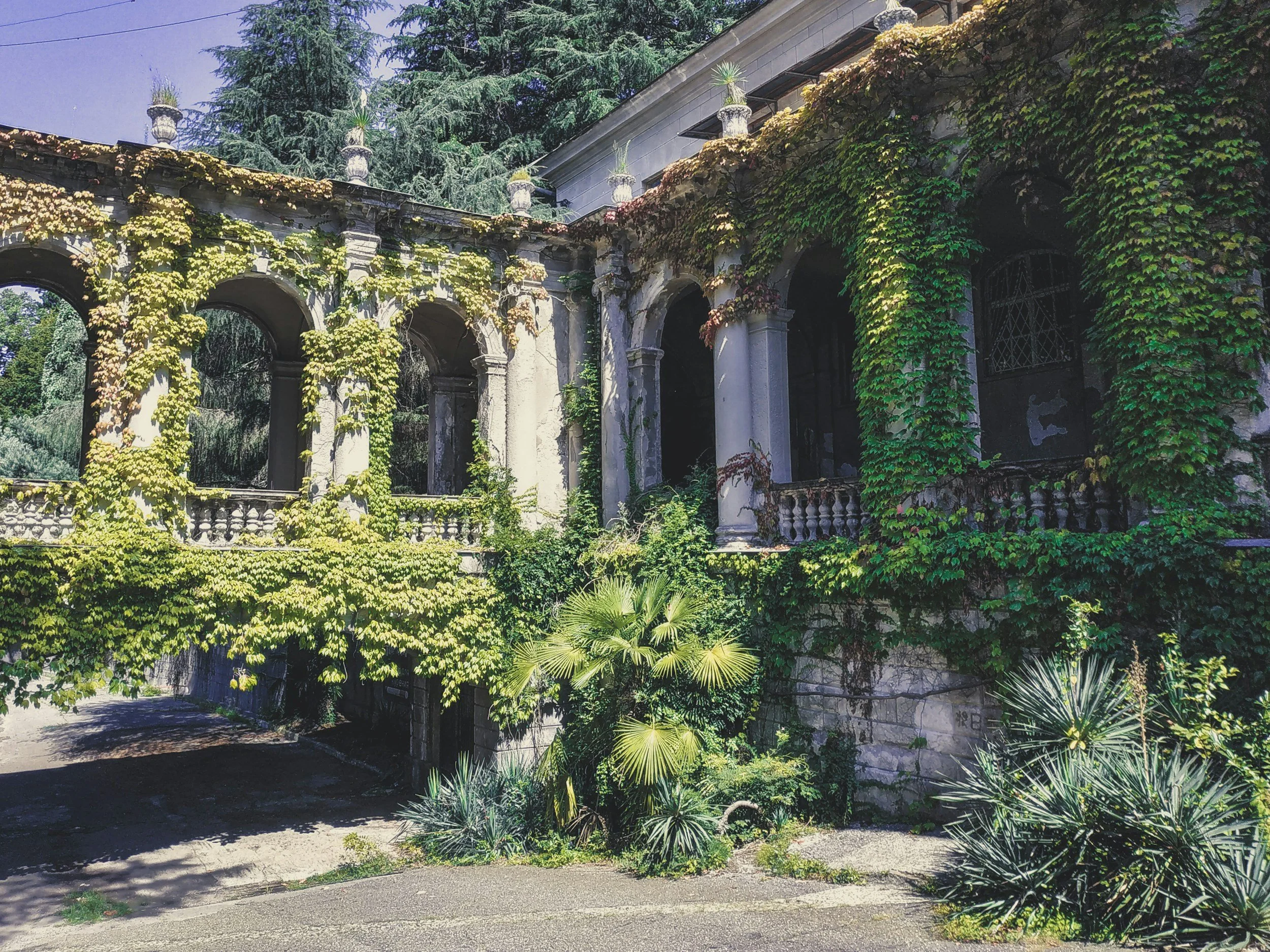 Mossy Old Manor
