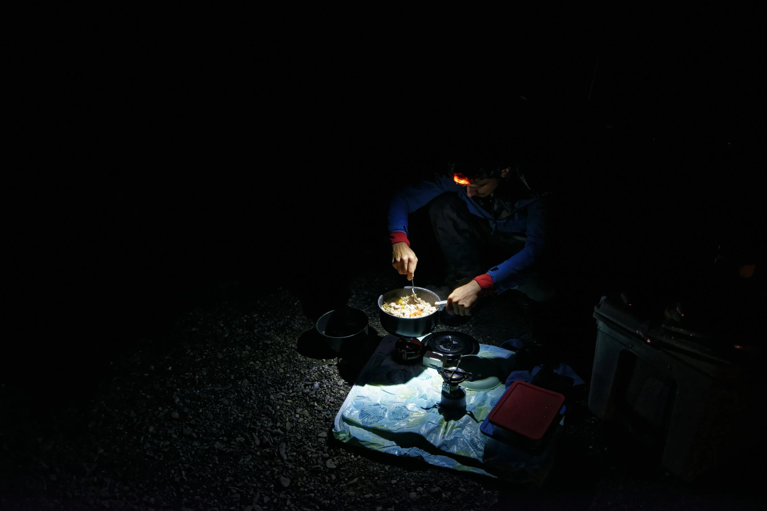 _8003926_Nik.jpg