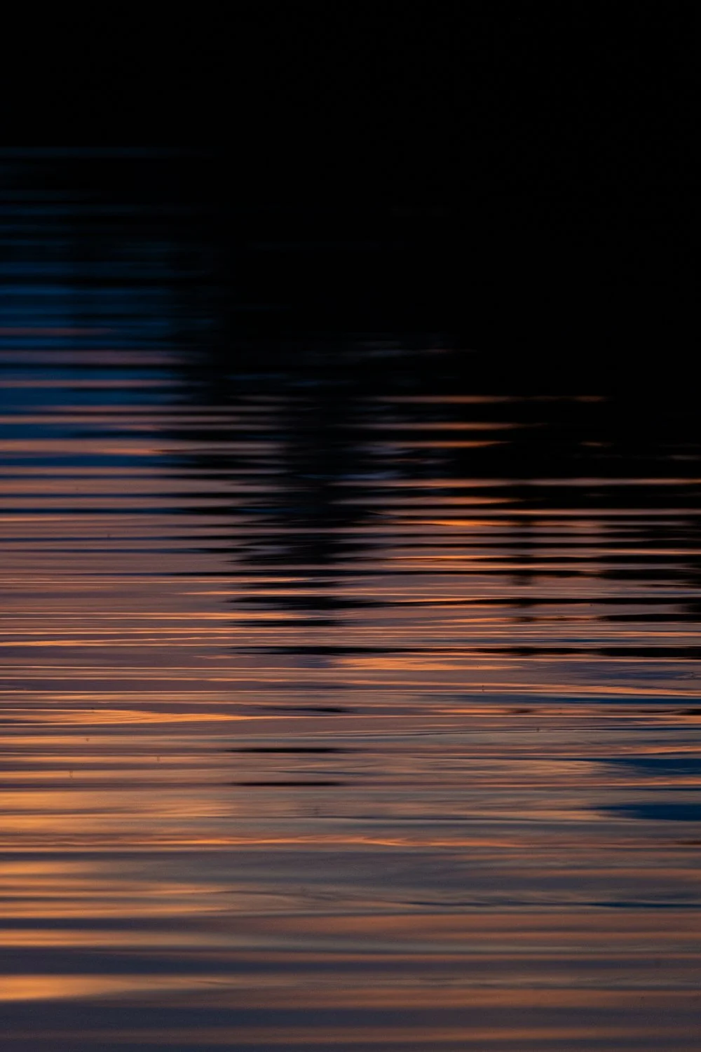 _DSF9214.jpg