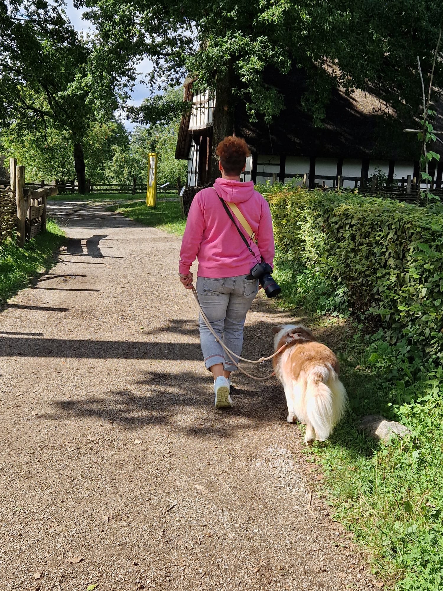 Eine Person mit pinkem Hoodie geht einen Kiesweg entlang, an der Hand gehalten wird ein Hund mit langem, weiß-braunem Fell. Im Hintergrund sind Bäume, eine kleine Hütte und Holzzäune zu sehen.