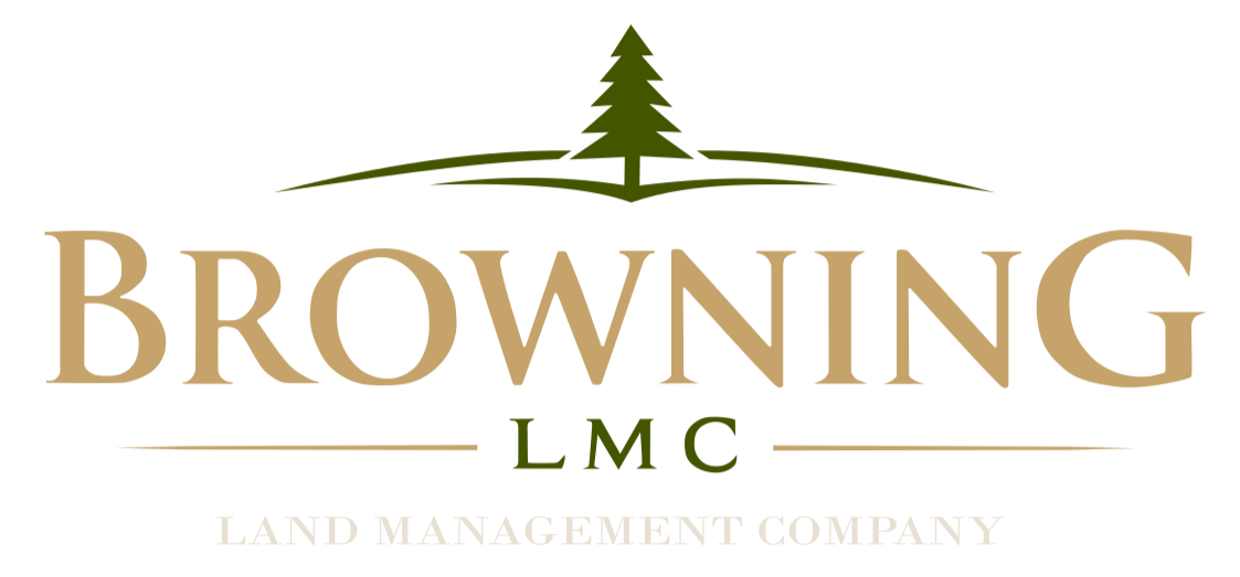Browning LMC