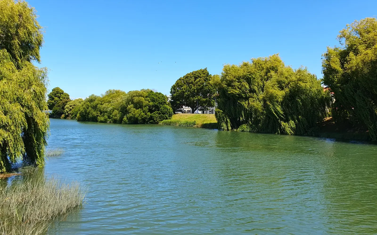 Walking track beside Silverstream Reserve near Kaiapoi
