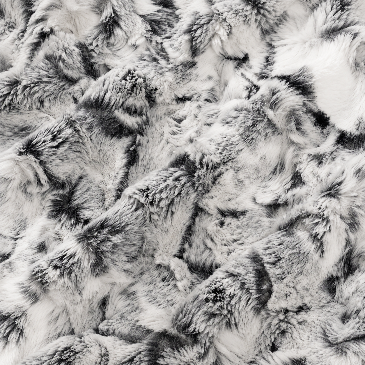 BLACK SNOWY OWL | 60x72