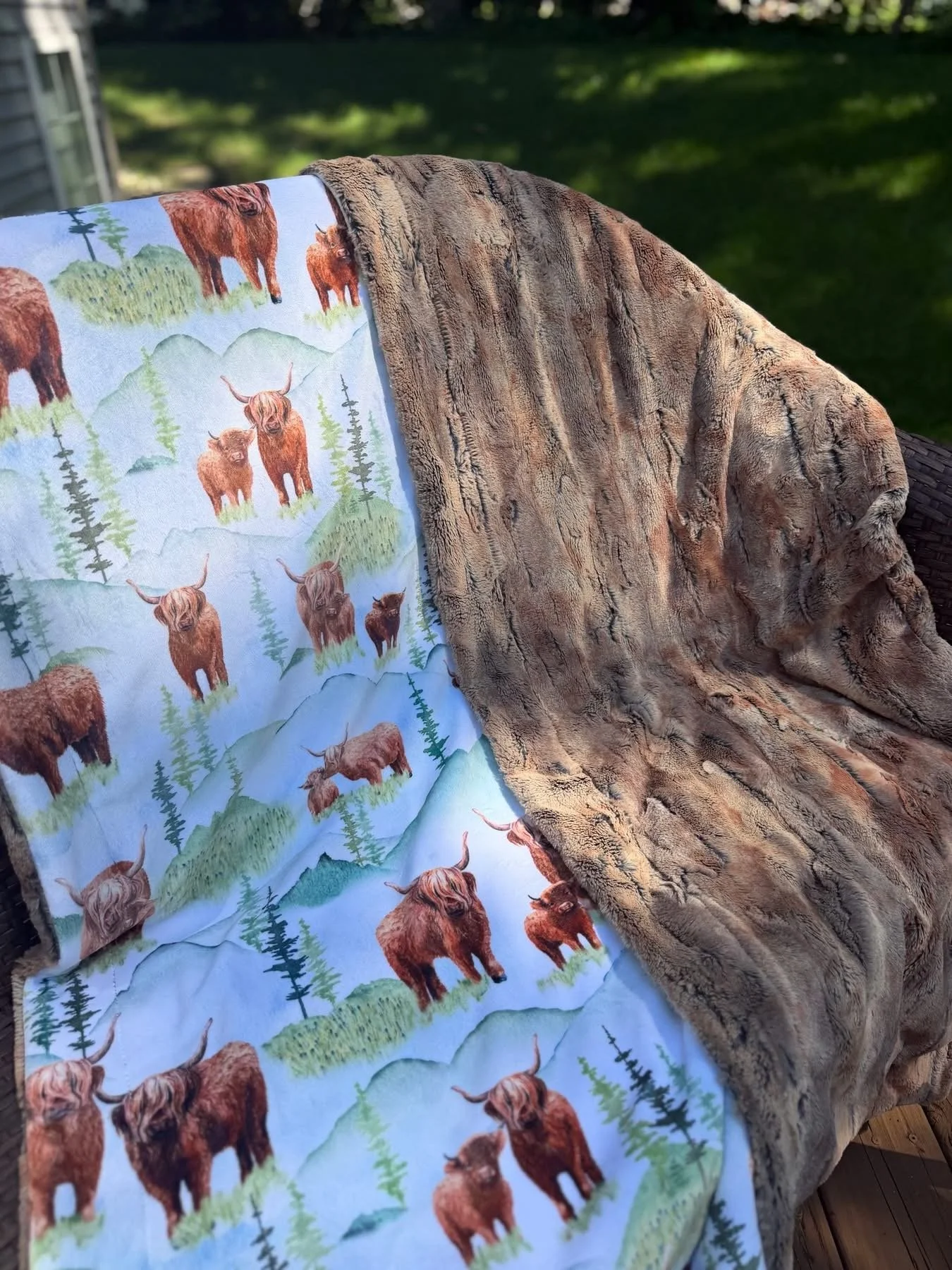 45x80 | Minky Blanket