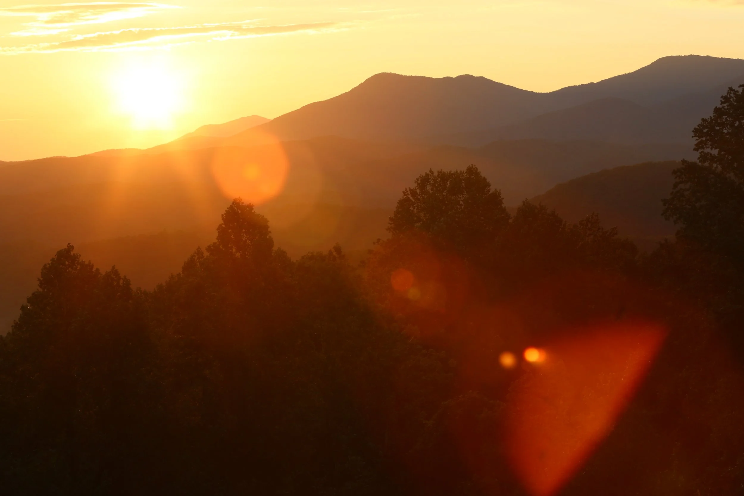 Sunset over mountain range with silhouettes of trees in foreground and lens flare effects.