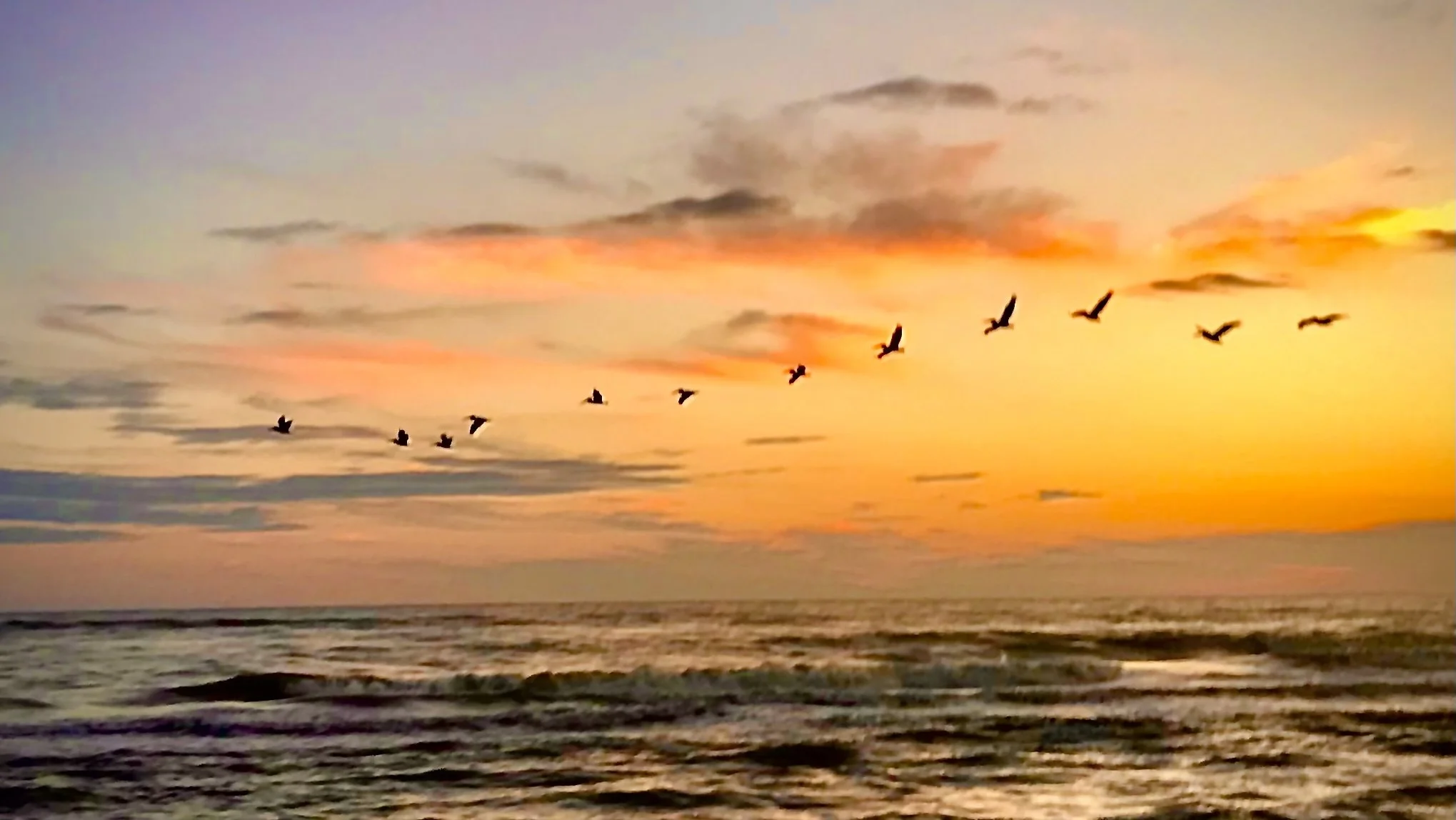 Santa Rosa Beach/Gulf Breeze/Panama City Beach