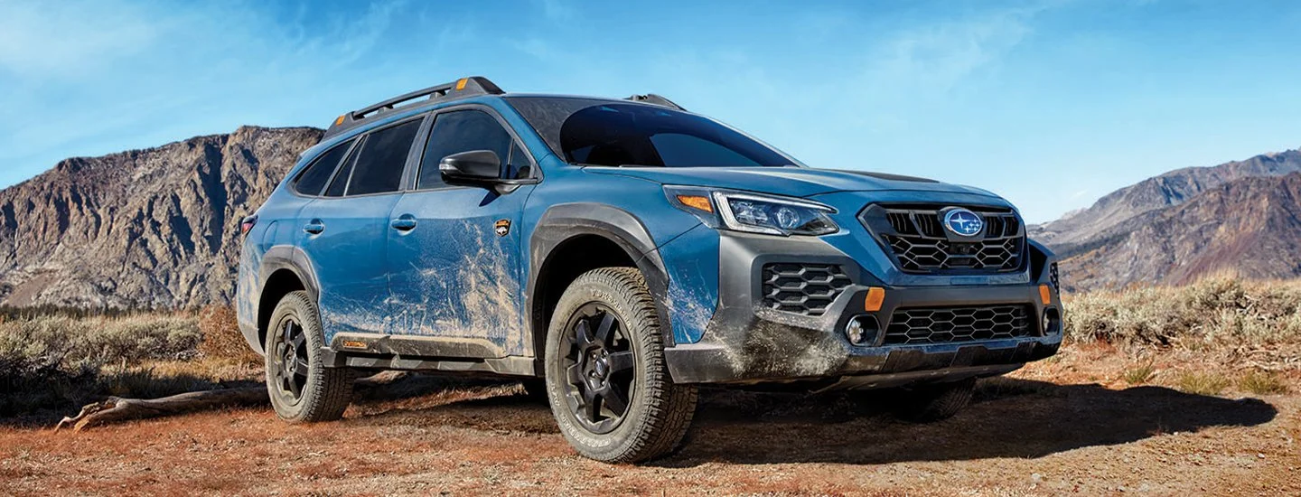 I Bought the Outback Wilderness
