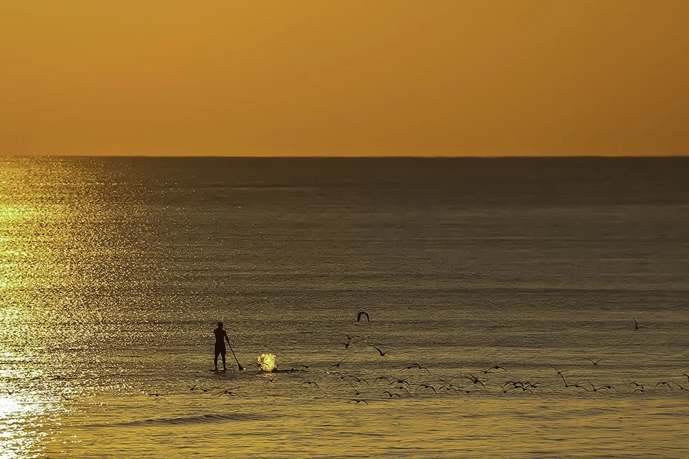 A person paddleboarding on the ocean during sunset with birds flying around.