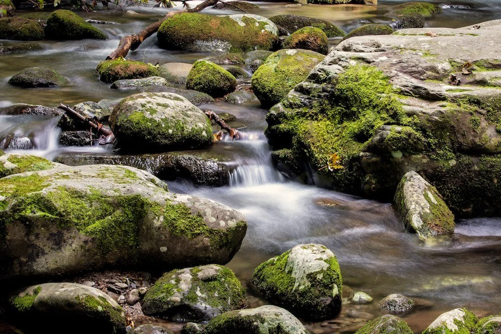Stream flowing over moss-covered rocks in a forested area.