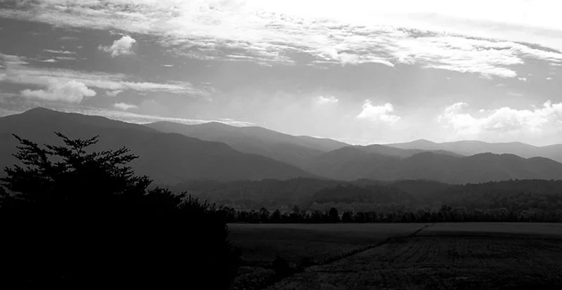 Black and white landscape of mountains with clouds and trees in the foreground.