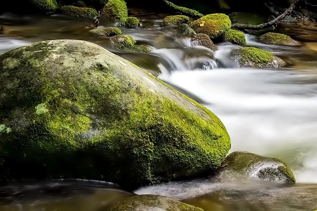 A stream flowing over moss-covered rocks in a natural setting.