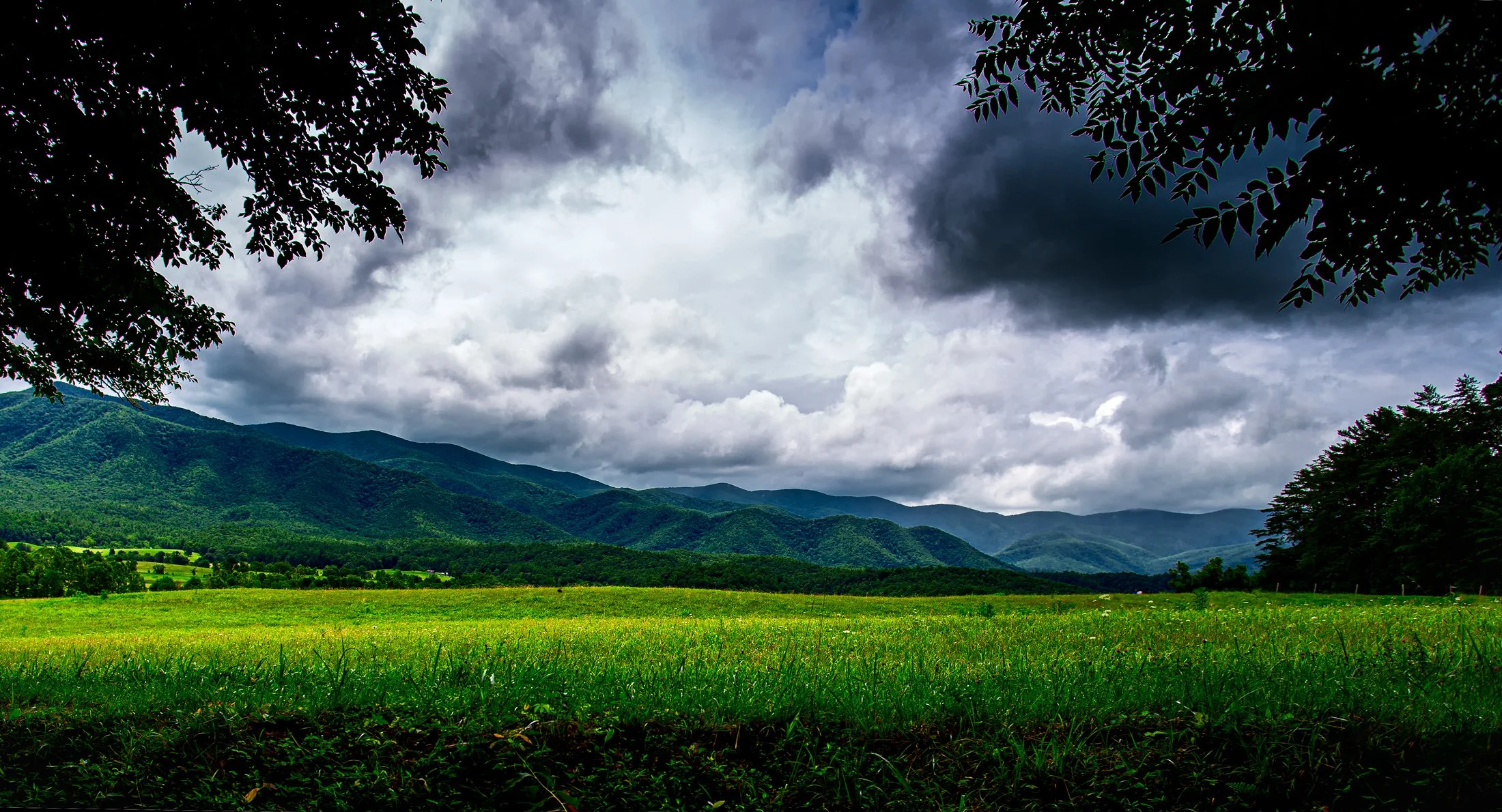 Scenic view of green rolling hills and mountains under a cloudy sky, framed by dark tree branches and leaves.