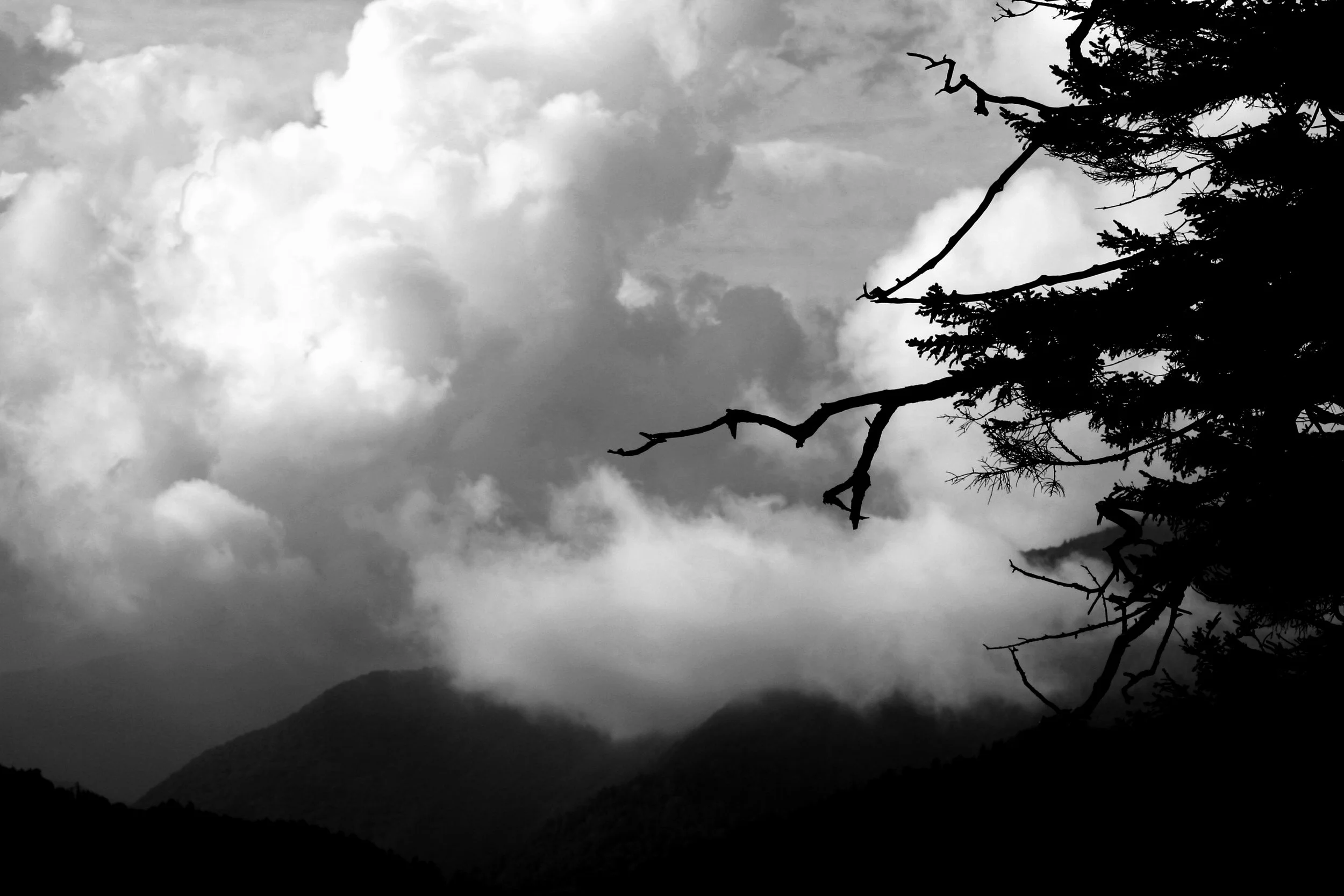 Black and white photo of a cloudy sky with mountain silhouettes in the background and tree branches in the foreground.