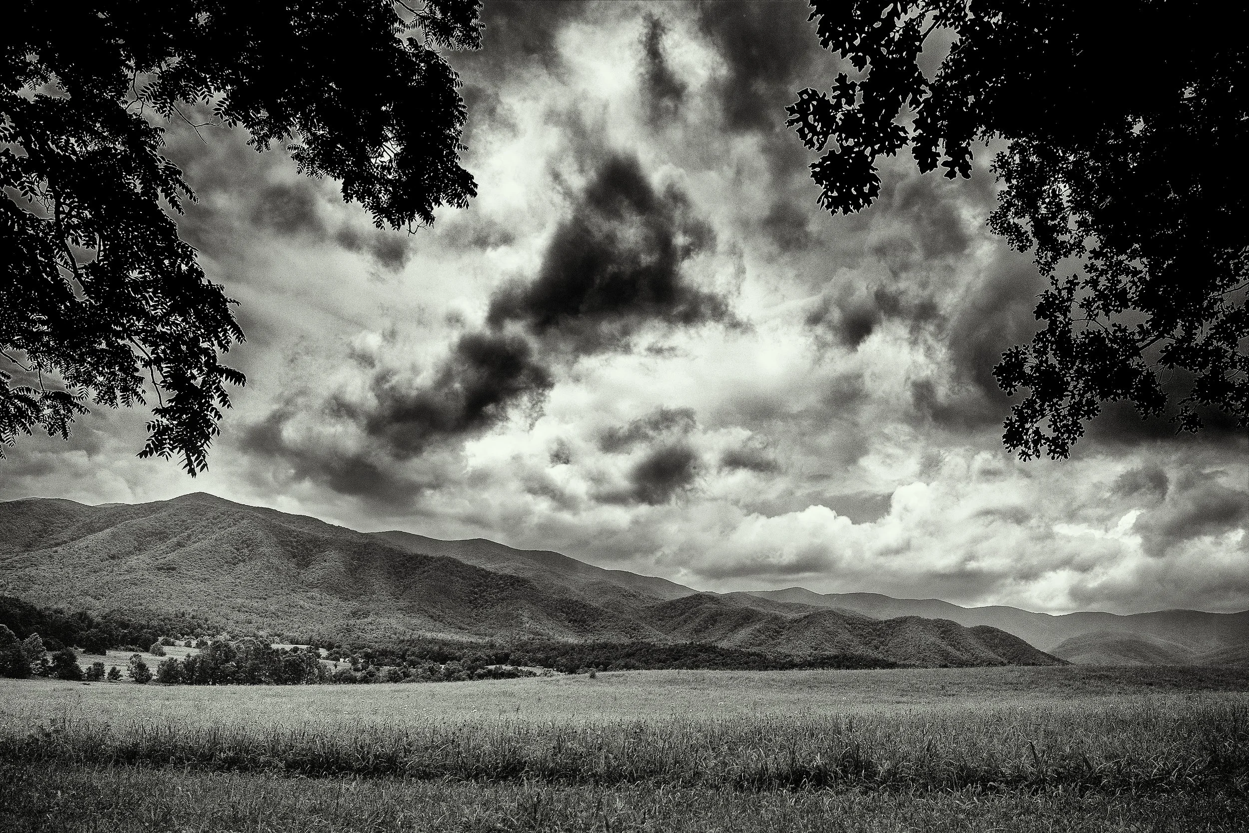 A black and white landscape photograph showing a cloudy sky, rolling hills, and trees in the foreground.