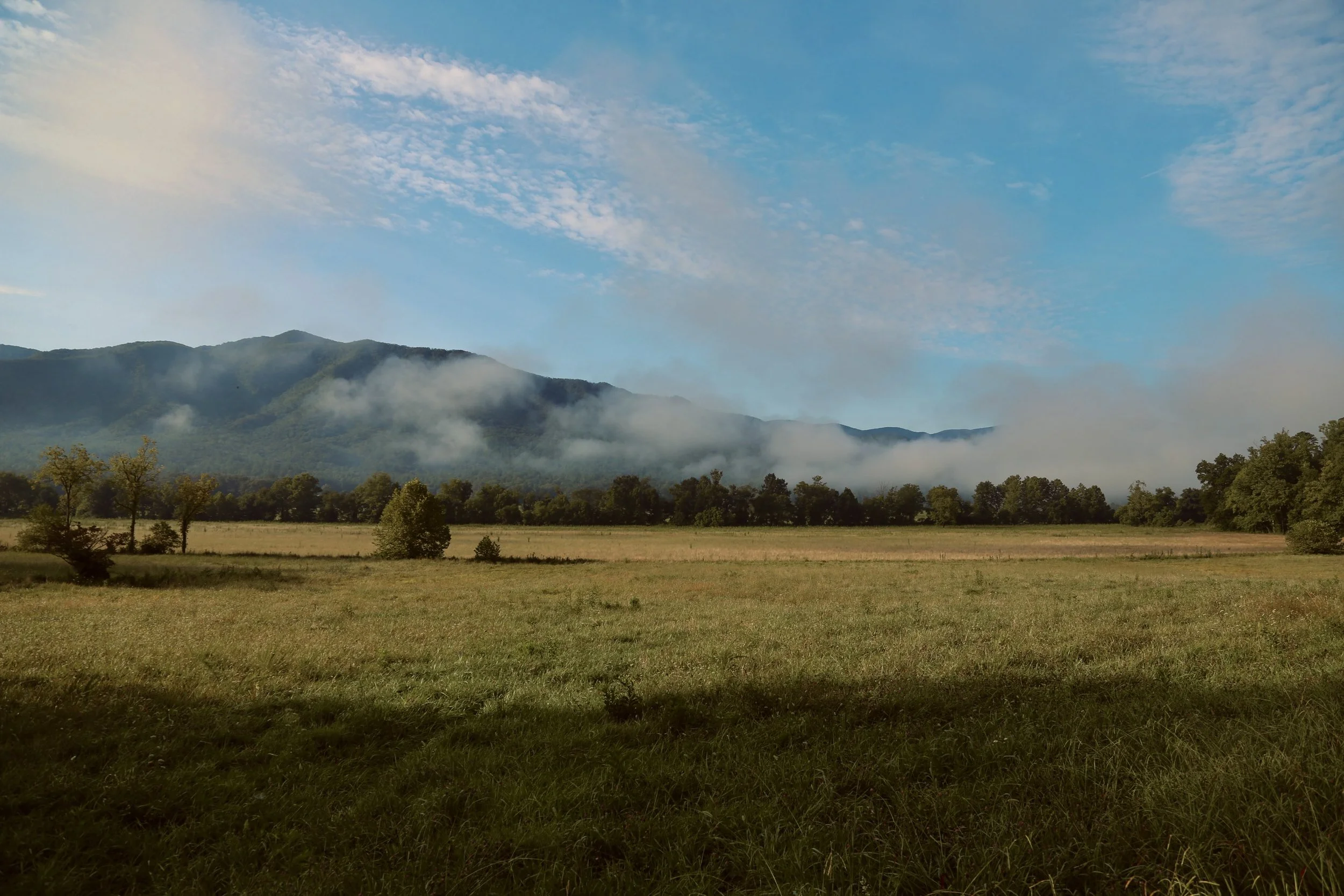 A landscape scene of a grassy field with trees, rolling hills, and low-lying clouds or mist, with a partly cloudy sky showing patches of blue.