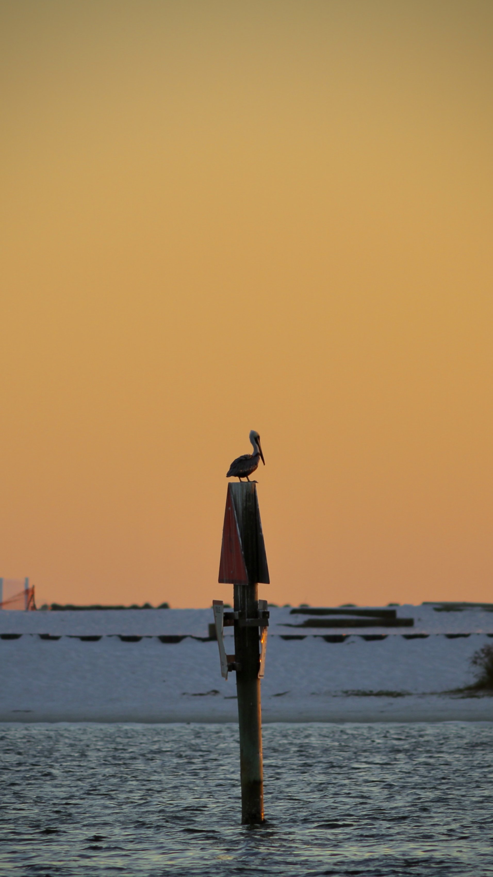 A bird perched on top of a wooden post in a body of water during sunset or sunrise, with a colorful sky in the background.