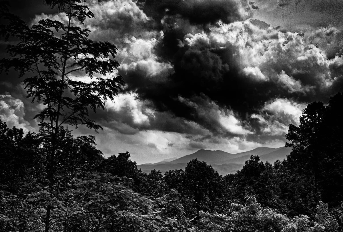 A black and white photo of a mountainous landscape with dense trees in the foreground and clouds filling the sky