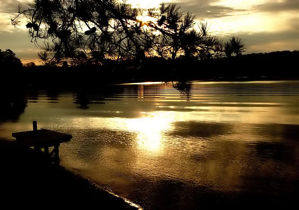 Sunset over a lake with a tree in the foreground and a small dock by the water.