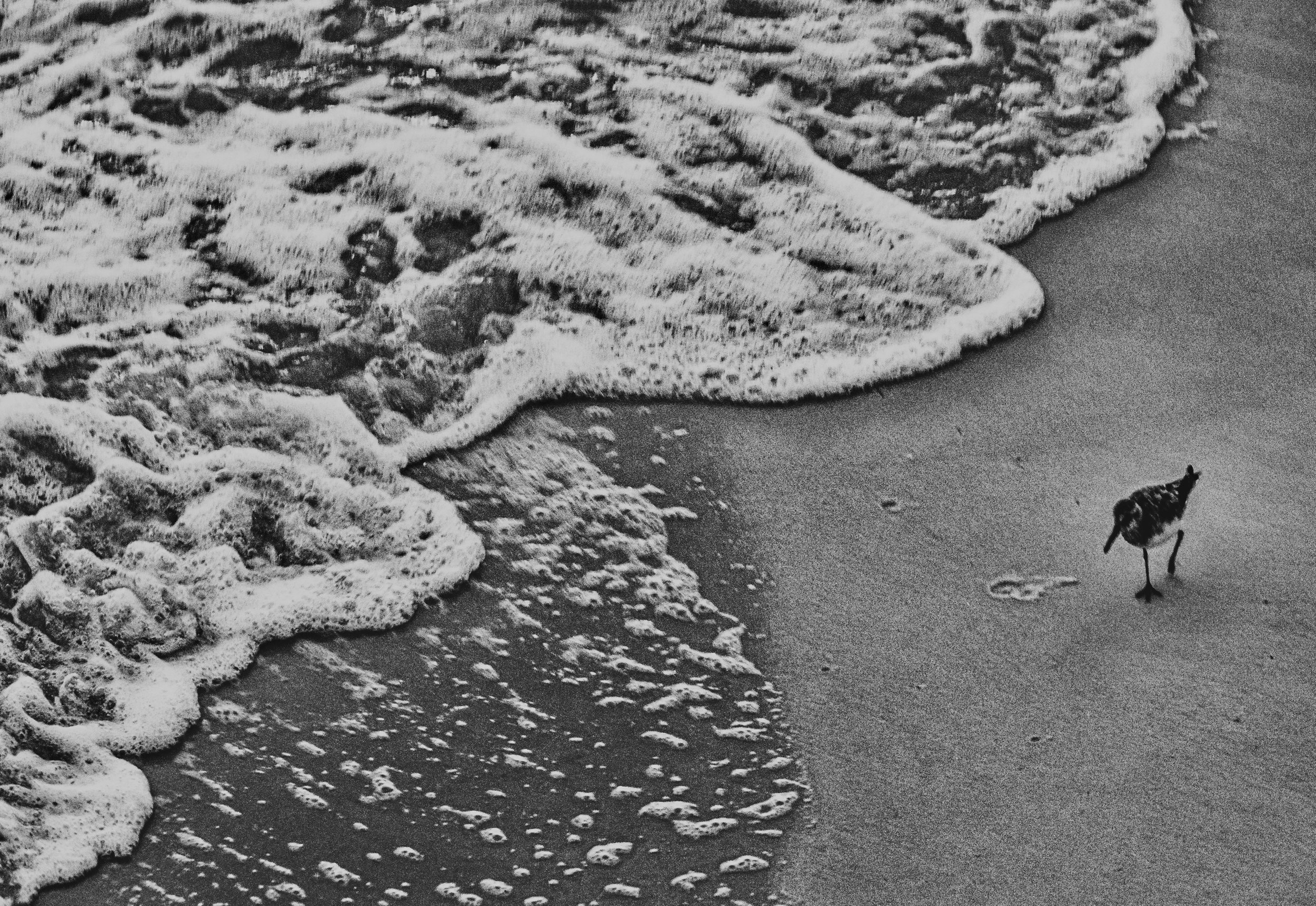 Black and white photograph of gentle waves washing onto the beach, with foam forming at the shoreline and footprints in the sand.