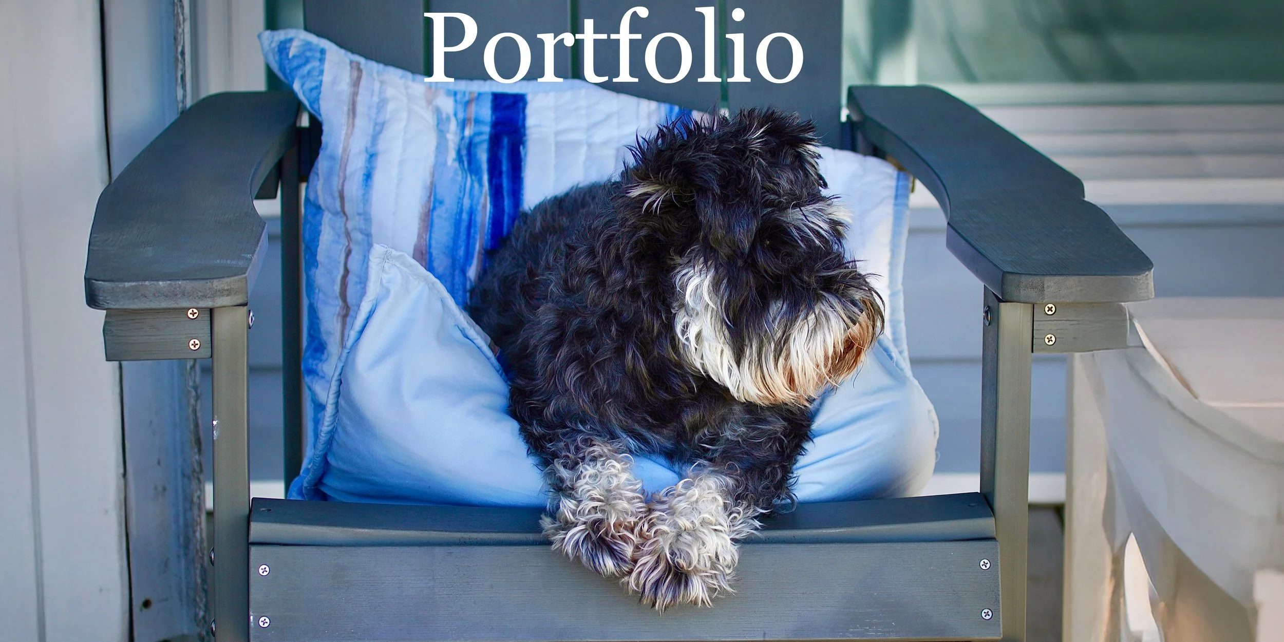 A black and white curly-haired dog sitting on a cushion on a gray outdoor chair with wooden armrests, on a porch or balcony with a sliding glass door in the background.