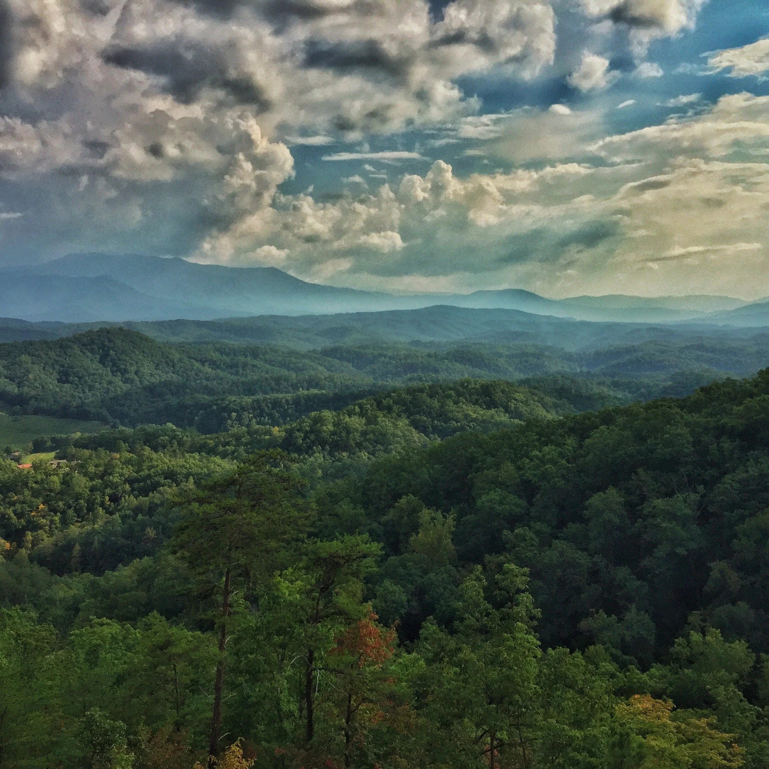 View of a mountain range with a dense forested foreground and a sky filled with scattered clouds.