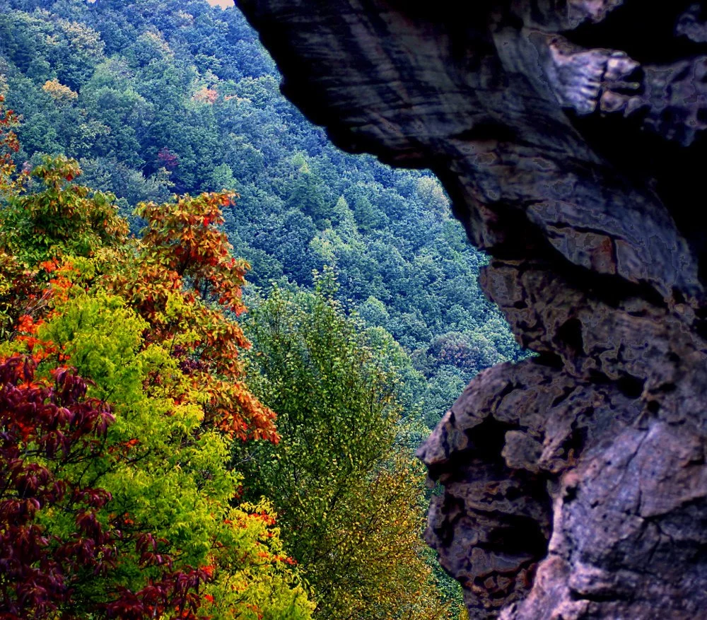 A view of a forest with colorful fall foliage seen from behind a large dark rock formation.