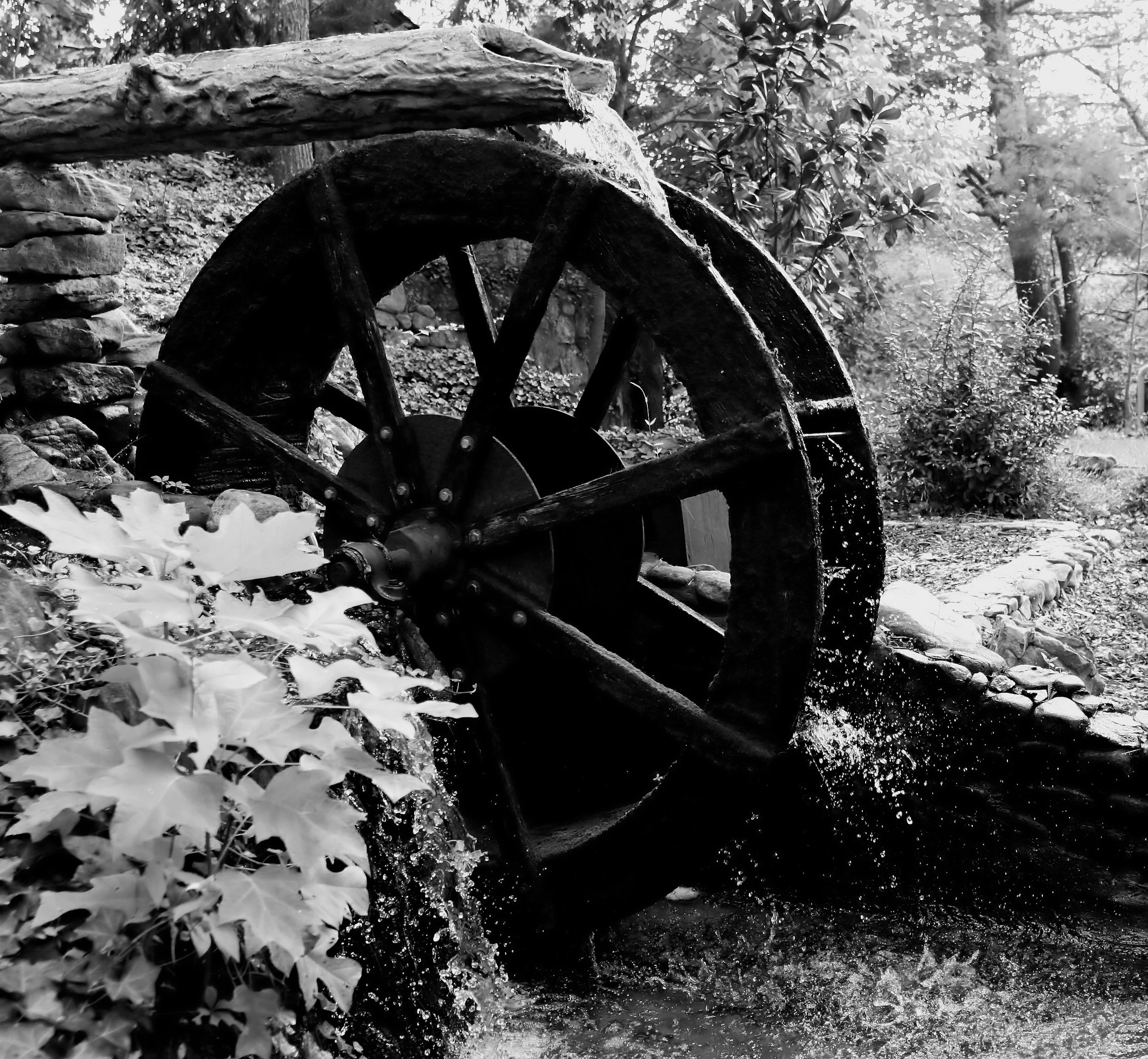 A black and white photo of a rustic outdoor scene featuring an old wooden water wheel partially submerged in a small stream, with a background of trees and foliage.
