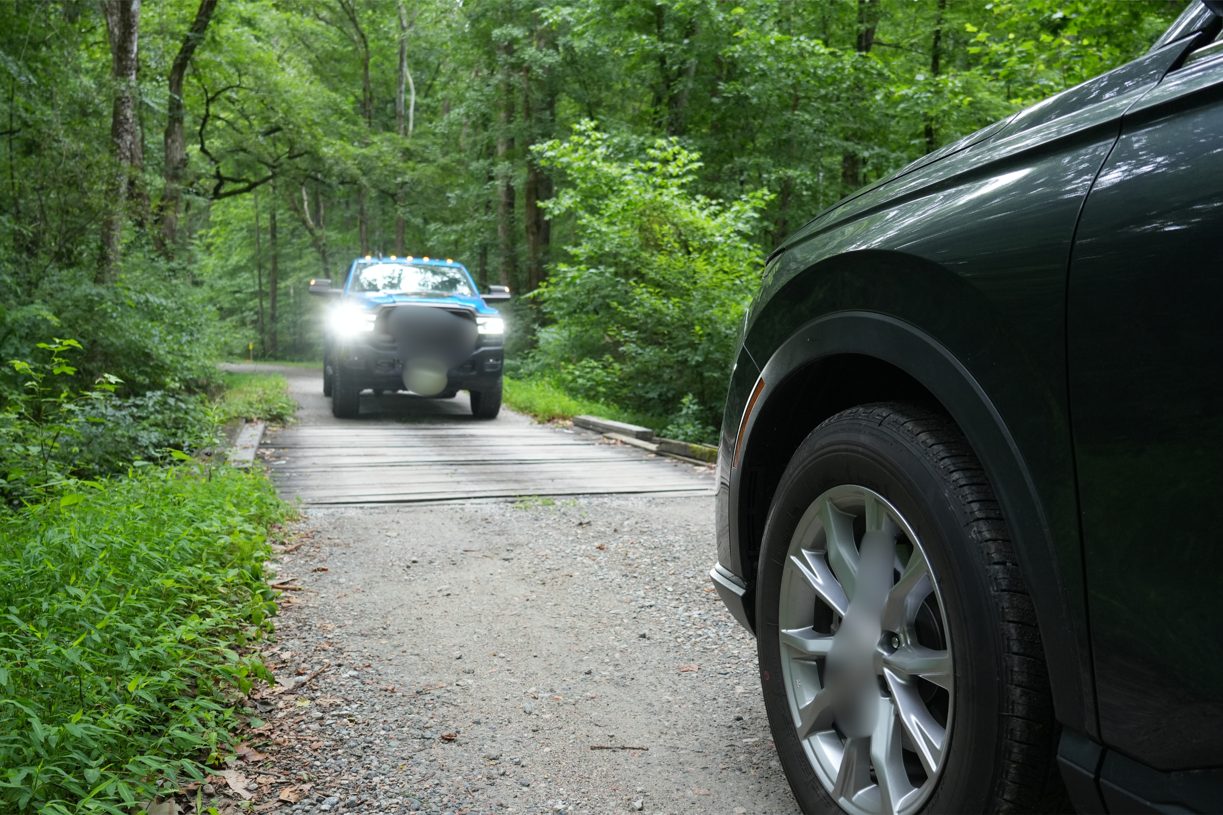 View of a forested gravel road with a black car partially visible in the foreground on the right and a blue pickup truck ahead with its headlights on approaching, surrounded by tall green trees.