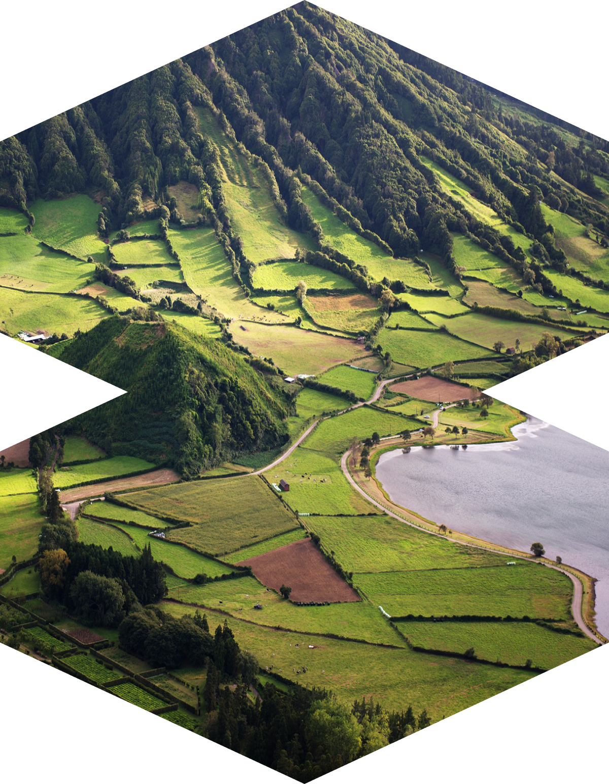 Aerial view of a landscape with rolling hills, farmland, and a lake, with the hills covered in green trees and patches of cultivated land.