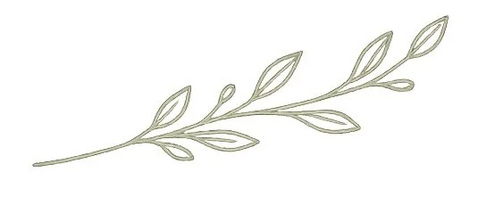A decorative line drawing of a leafy branch.