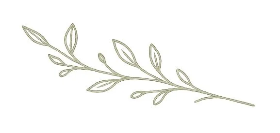 A simple illustration of a branch with leaves.
