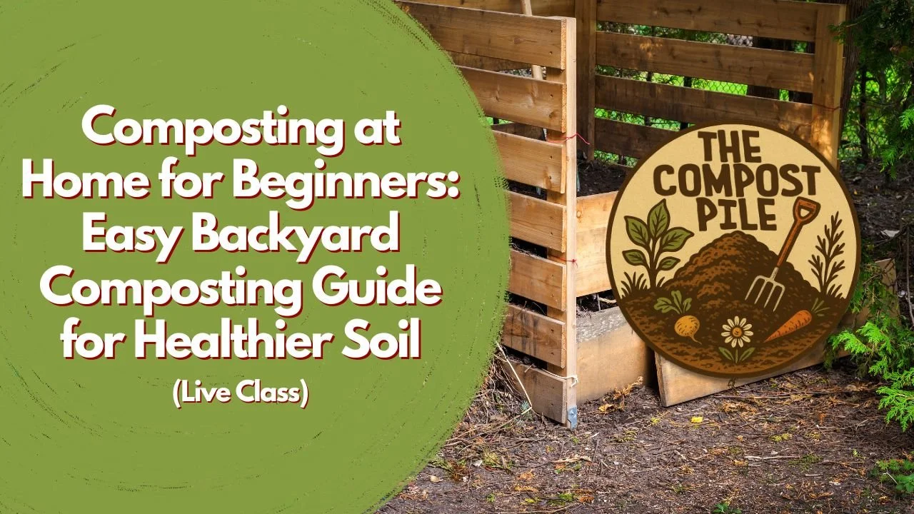 Composting at Home for Beginners:  Easy Backyard Composting Guide for Healthier Soil