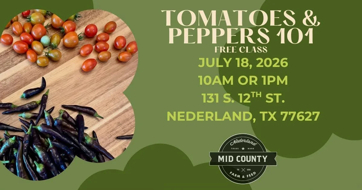 Tomatoes &amp; Peppers 101 