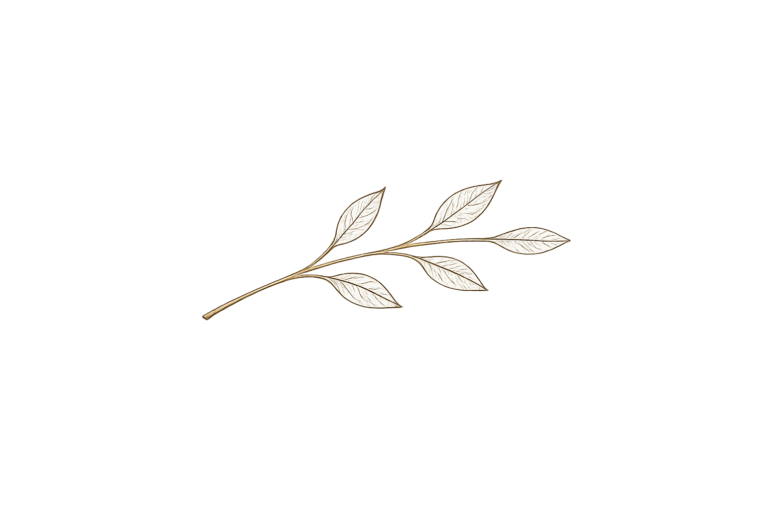 A delicate, minimalist illustration of a branch with ten white leaves against a black background.
