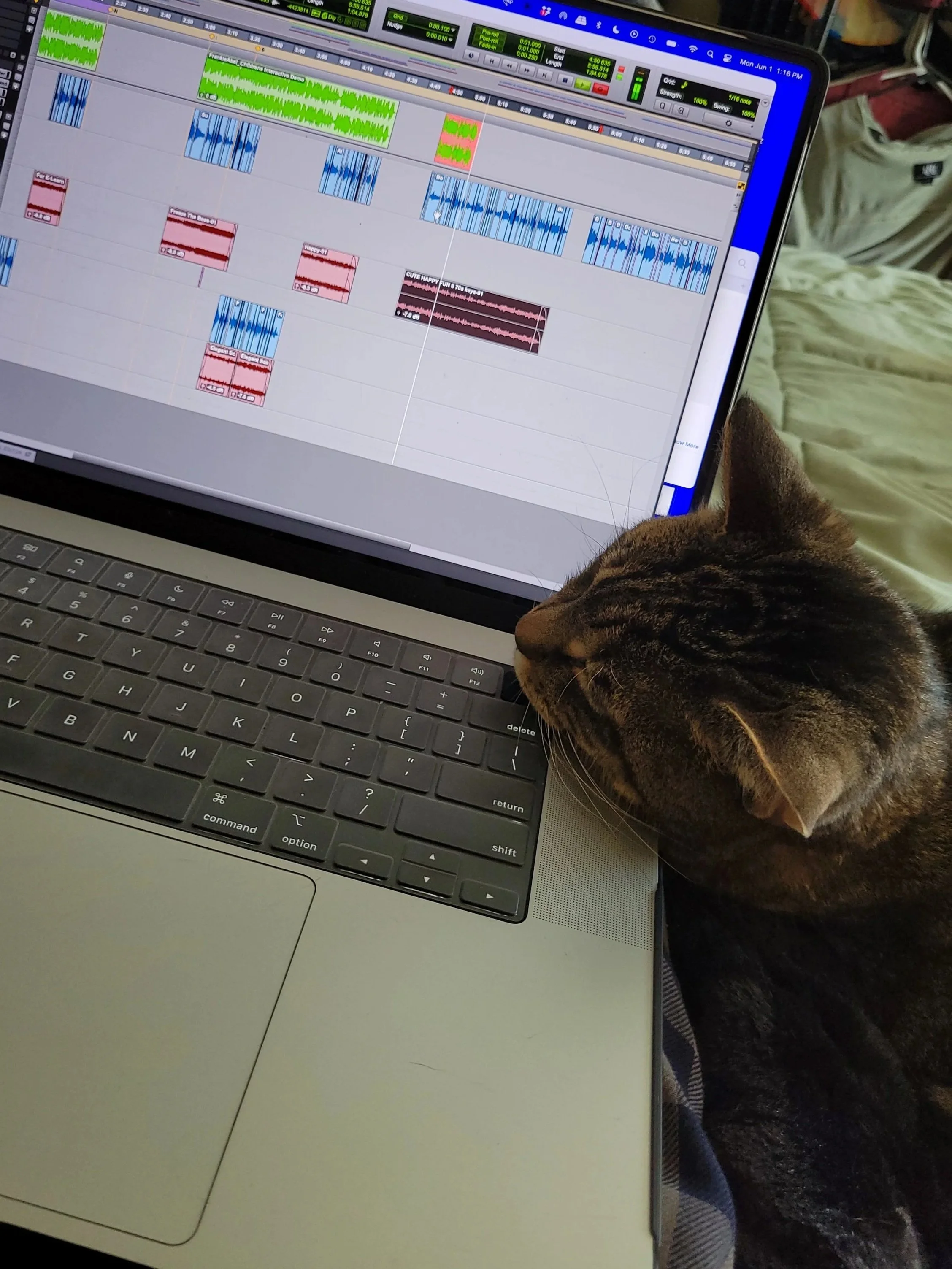 Hobbes: DJ CatNap