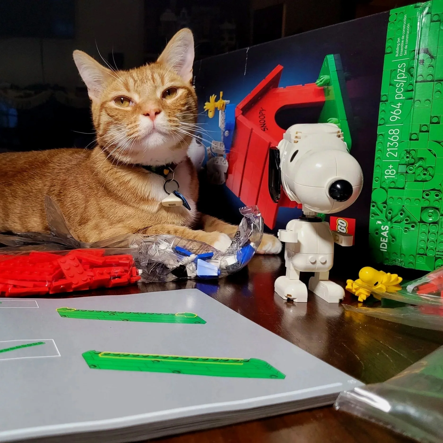 Leo overseeing the Lego build.