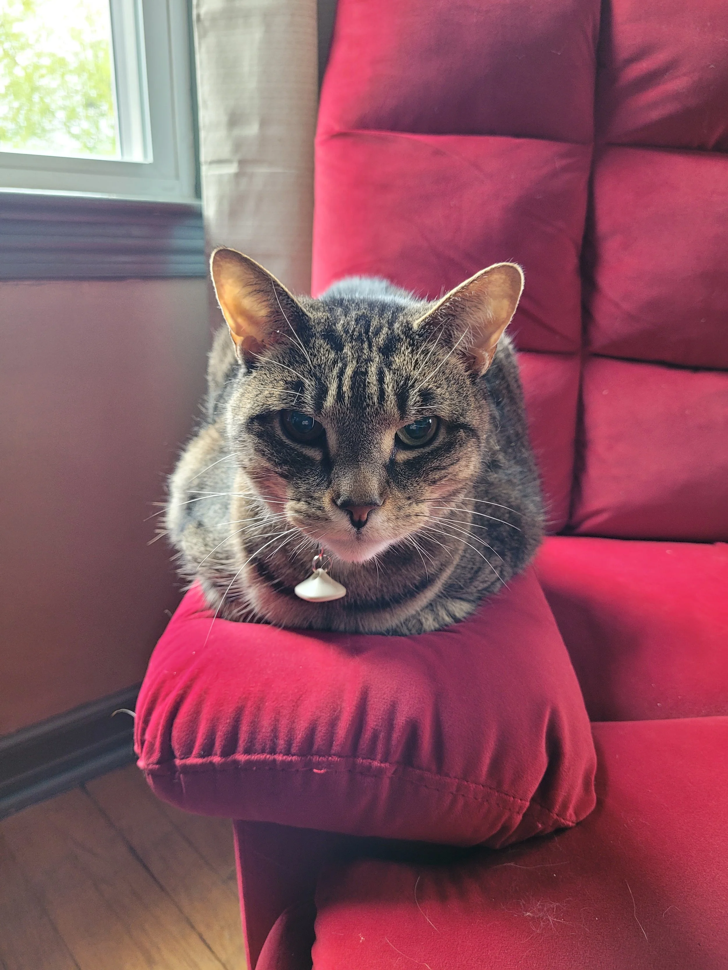 Hobbes' balancing act