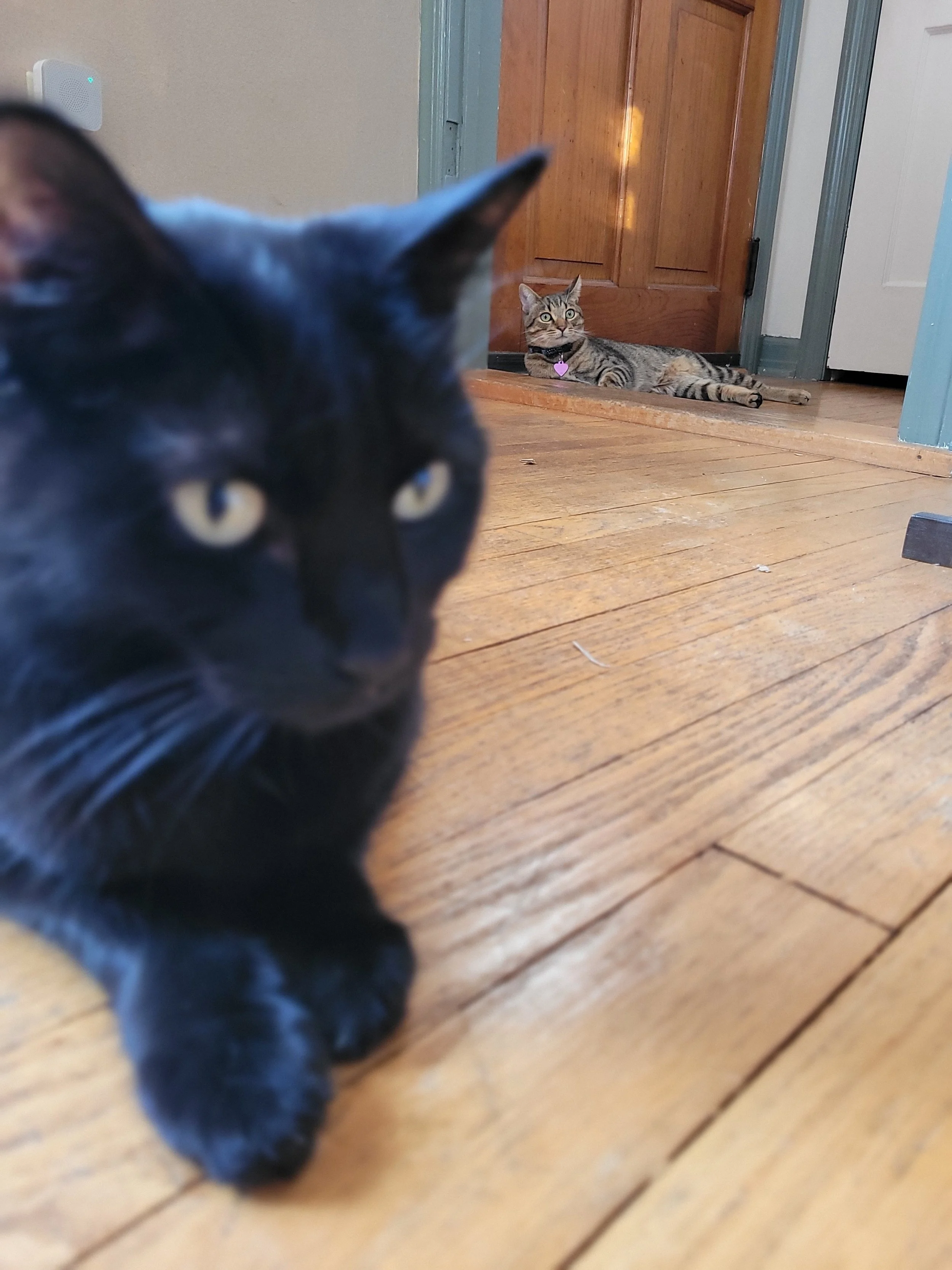 "Feels like I'm being watched..." - Onyx