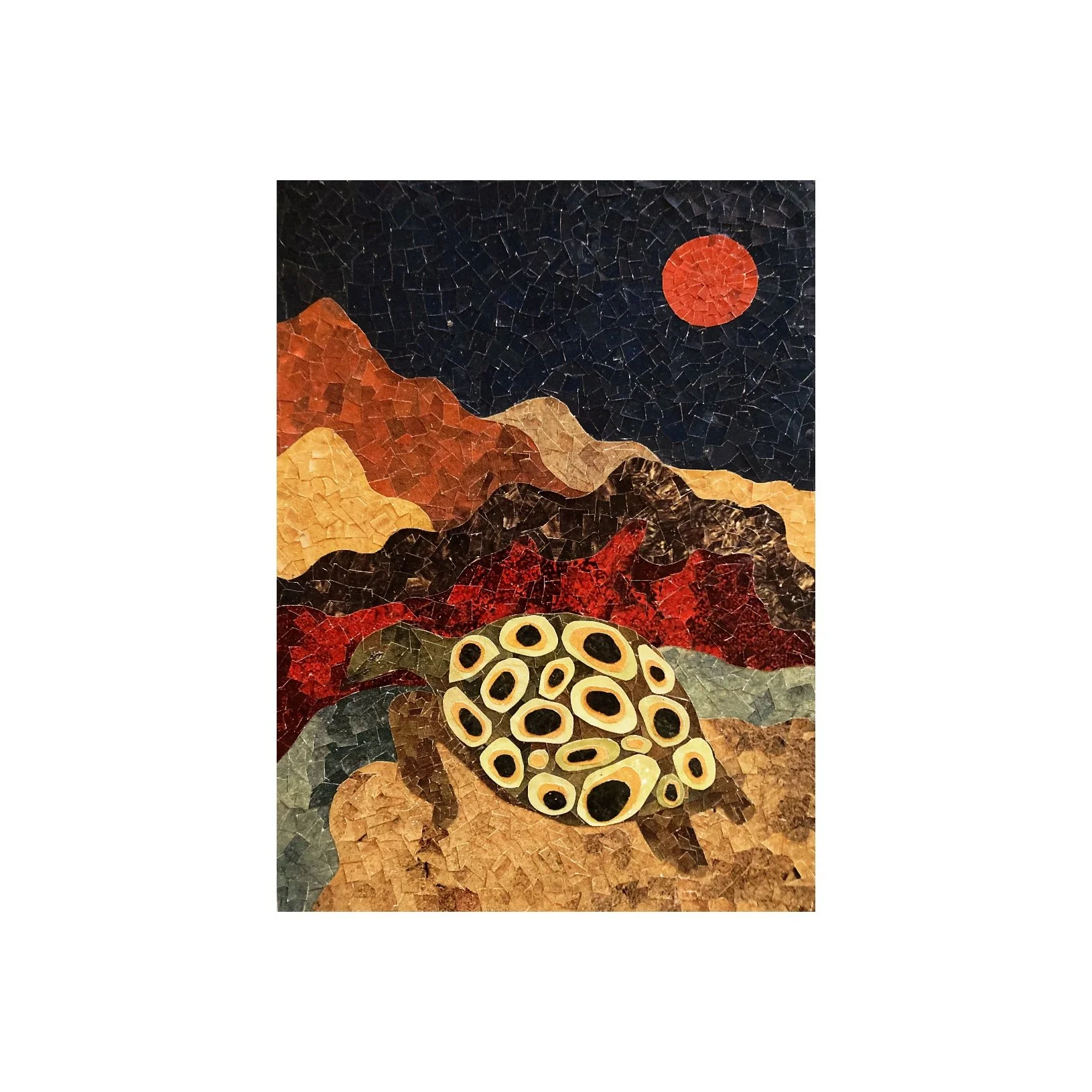 A Visual Ode to Turtle Island