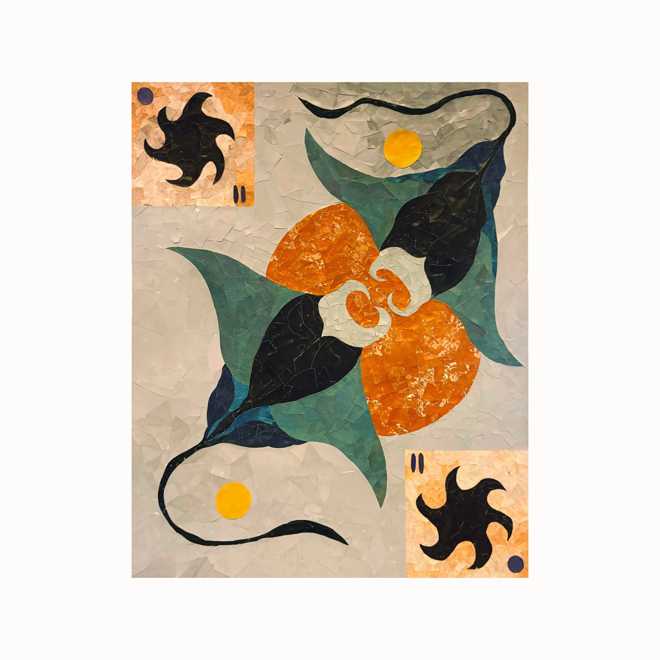 A Visual Ode to Manta Rays, 2