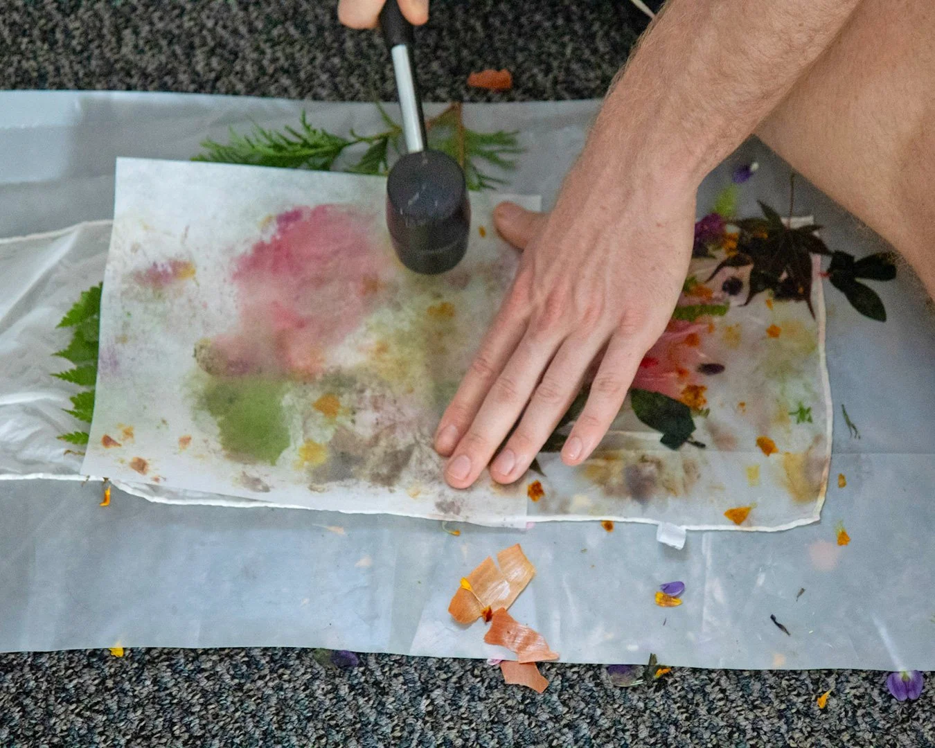 Botanical_AiB_IMG_5975.jpg